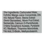 Tru Blend - Rtd Bld Energy Wkup Or/mgo - Case Of 12-12 Fz