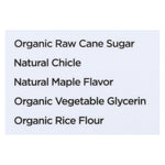 Simply Gum All Natural Maple – 15 Count Pack – Case of 12 – Simply Gum Chewing Gum with Natural Ingredients