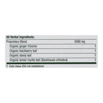 Traditional Medicinals Organic Ginger Aid Herbal Tea - Caffeine Free -16 Bags