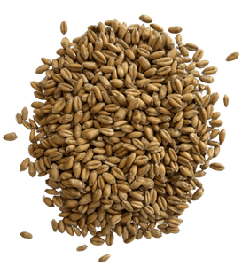 Bulk Grains Organic Winter Wheat Berries Hard Red - Single Bulk Item - 50lb